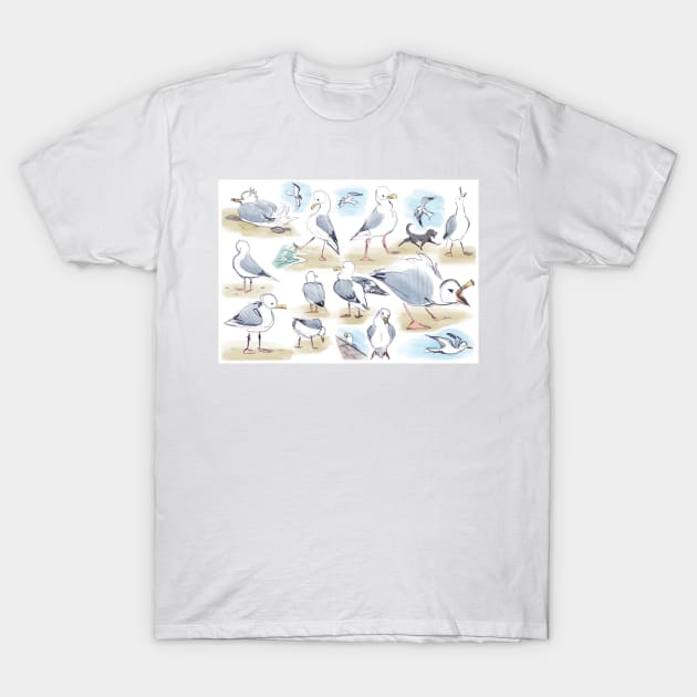 Seagull studies T-Shirt by Midsea 